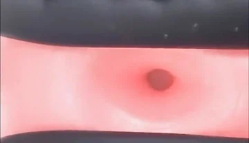 Exercise donut ball pumped