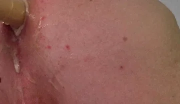 Pervert Farting Pig