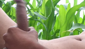 Worldwide Viral Desi Hunk Solo Action Part 4 - Premium Faceless Amateur Close-up Raw Stroking Session 4K
