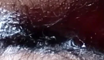 Gay Boy Sex Part (37)