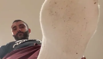 Fuck these socks stink boy