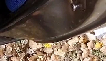 Nectar of Sperm! Compilation of Compilations!