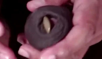 Look at Everything I Can Keep Inside My Foreskin