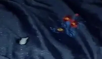 Big Dick Waiting for Big Pussy