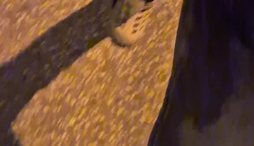 Pissing Jeans in Public
