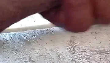 You Would Never Have Seen Such a Land Anywhere