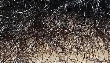Handboy Masturbation After Frist Time