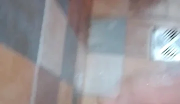 A Little Bird Before Bathing