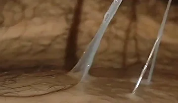 Massive Straight Cum in the Navel Hole!