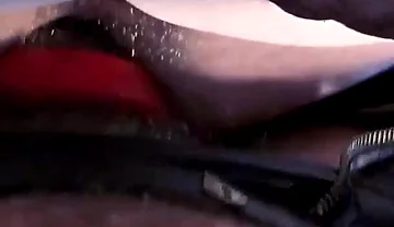 Our New Pet: Kev Inspiring, Pupp Apollo, Cody Stewart