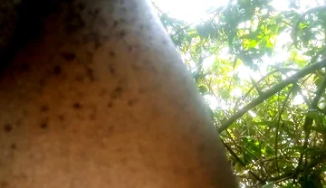 Travel bush