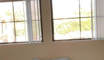 What's He Doing up There?