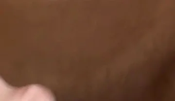 Thick Big Dick Huge Xl Monster Cock Fucks Tiny Tight Twink