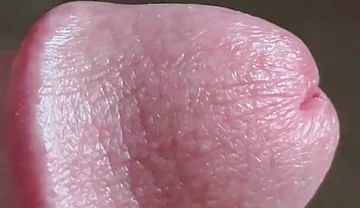 Closeup of Penis with One Vein