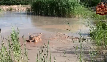 A Short Exploration of a New Mud Lake
