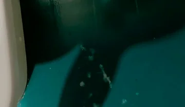 Shot Solo