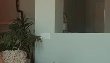 The Robery Was Cut and the Guy Got Punished