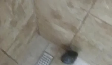 Masturbation Wash