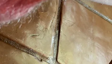 Dirty Talking Precum Covered Sloppy Cock
