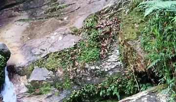 On a Walk to the River - Masturbation and Outdoor Urination