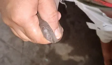My Big Cock Is on the Camera Is Xhamstar