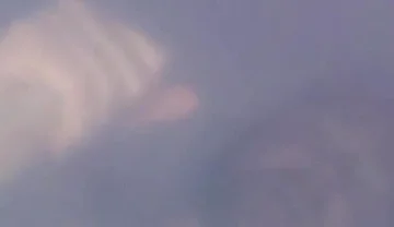 Cumshot
