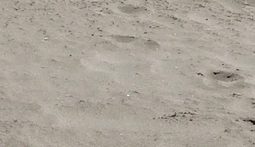 On the Beach Nude