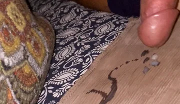 Promo Sleepy Cock
