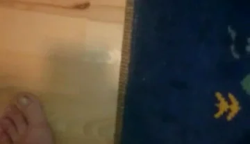 Big Cock with Cockring Big Load