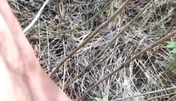 Outdoor Cumshot Complaition in Jungle