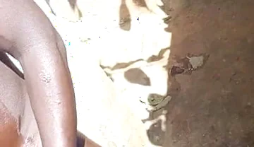 Do You Want It in Your Ass or Pussy? You Choose