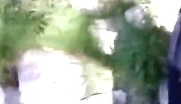 Jon Arteen Pissing Pee Outside. Twink Flirting in a Gay Cruising Park. Sexy Slim Boy in Adidas Sportwear