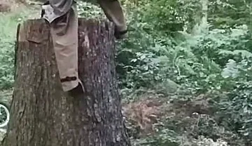 Stump Chase, Part One