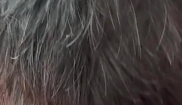 The Secret Intimacy of the Bears 3