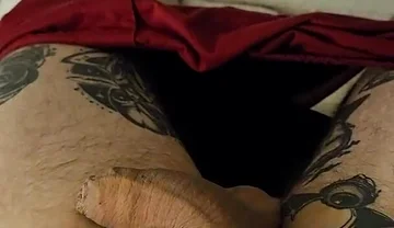 A Resting Penis