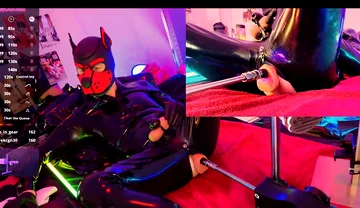 Nicolaus Rubber Show Mit Pup Maske