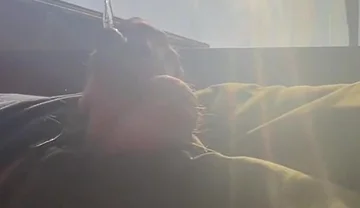 Pissing in Sunset