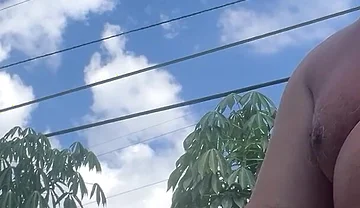 My in the Back Yard
