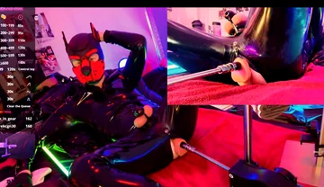 Doggy Rubber Show