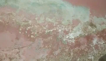 Big Cock Pees and Fucks His Bed Conspicuously
