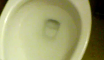 Cam Video