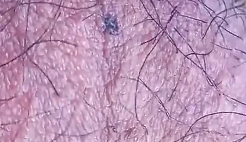 Sexy Twink's Hairy Balls Move All Alone for This Fascinating Gay Porn Video