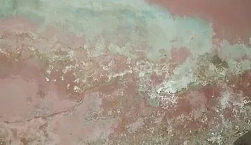 Big Cock Pees and Fucks His Bed Conspicuously
