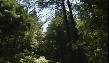 Out of Bounds