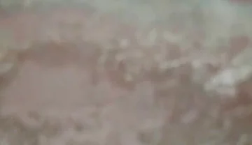 Bed Humping Gives Nothing but Joy