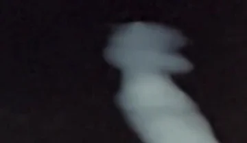 What Does Sperm Experience in Slow Motion?
