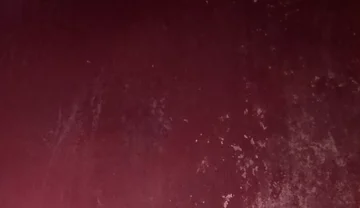 A Large Penis Seeking a Vagina