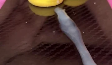 Does Anyone Not Like Sperm Cookies?