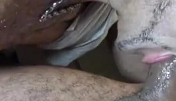 Mature Boy Fucking in the Kitchen