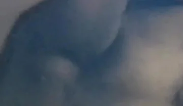 Tasty Sex